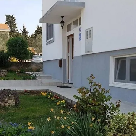 Iva Daire Zadar